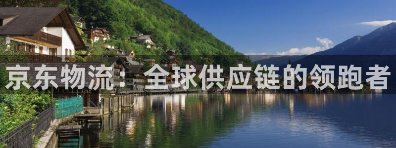 ,优游国际官方：京东物流：全球供应链的领跑者