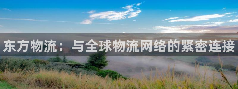 ,优游国际怎么下载教程：东方物流：与