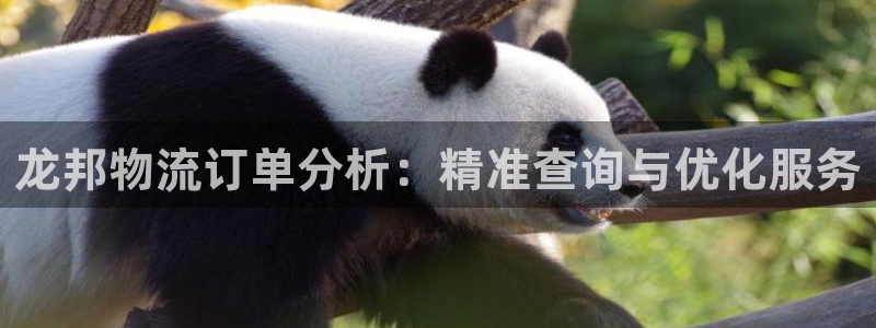,优游国际APP是干什么的