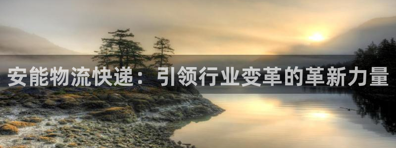 ,优游国际注册网页版：安能物流快递：