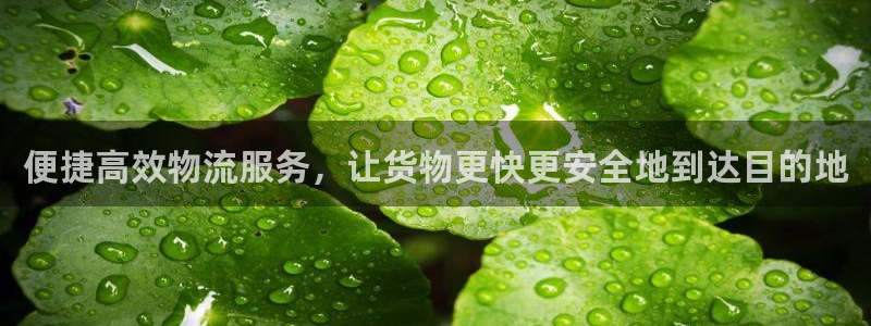,优游国际加拿大2.8预测在线预测