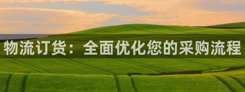 ,优游国际模拟器下载：物流订货：全面