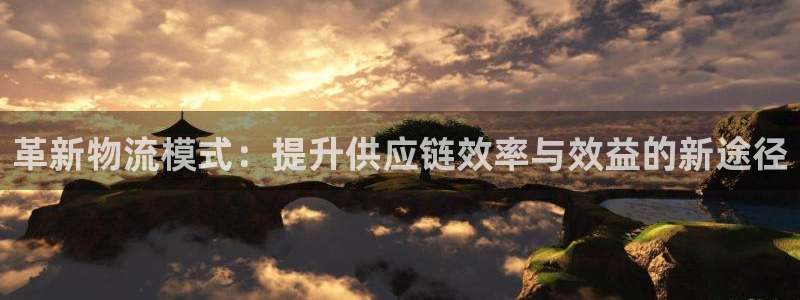 ,优游国际玩法：革新物流模式：提升供