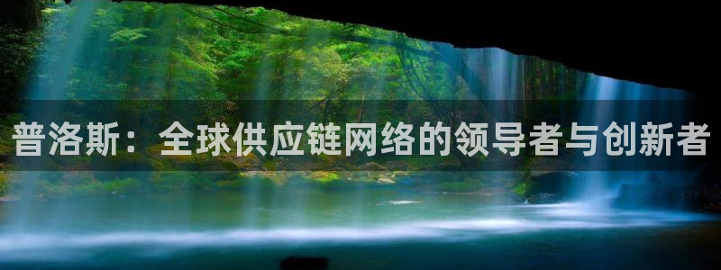 ,优游国际ccm官网版：普洛斯：全球