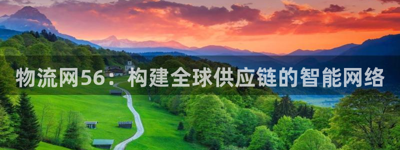 ,优游国际下载二维码：物流网56：构建全球供应链的智能网络