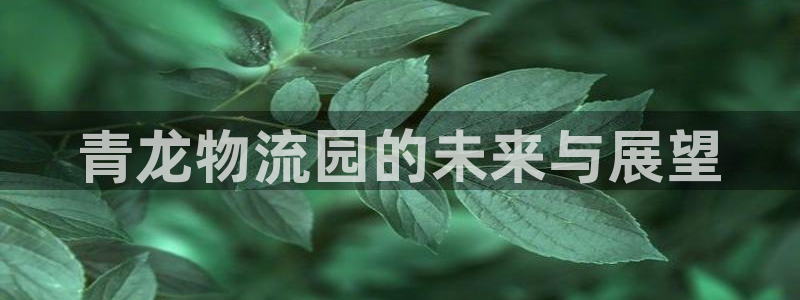 ,优游国际相信品牌的力量