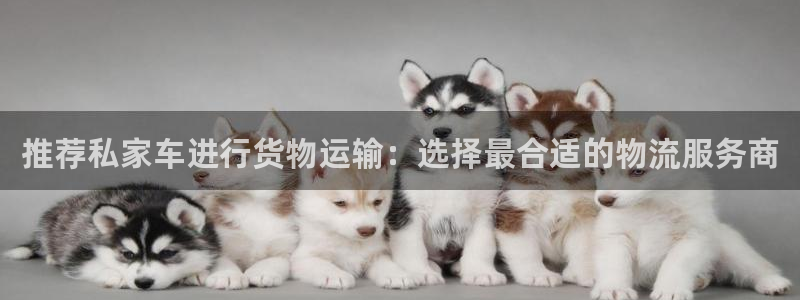 ,优游国际链官网：推荐私家车进行货物运输：选择最合适的物流服