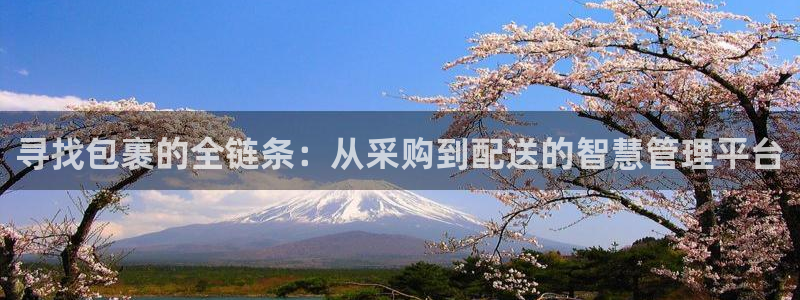 ,优游国际退款教程：寻找包裹的全链条