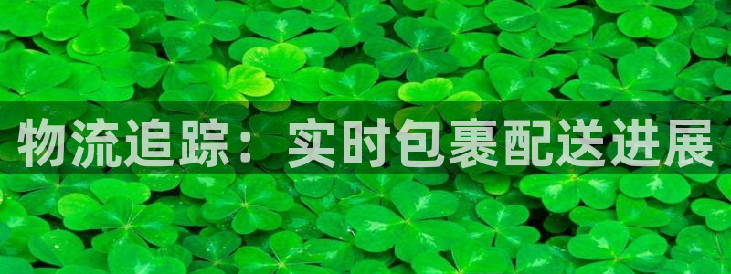 ,优游国际哪个最赚钱：物流追踪：实时