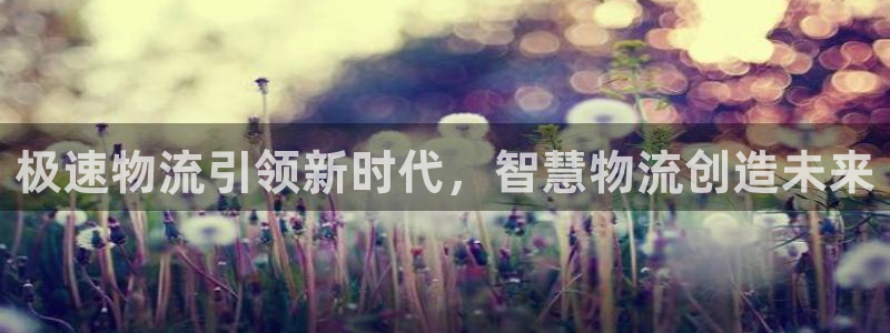 ,优游国际链接是什么：极速物流引领新