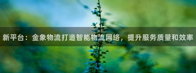 ,优游国际赌博被抓：新平台：金象物流打造智能物流网络，提升服