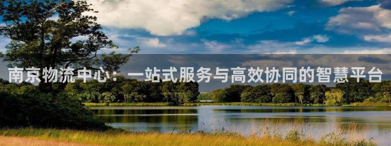 ,优游国际大神预测