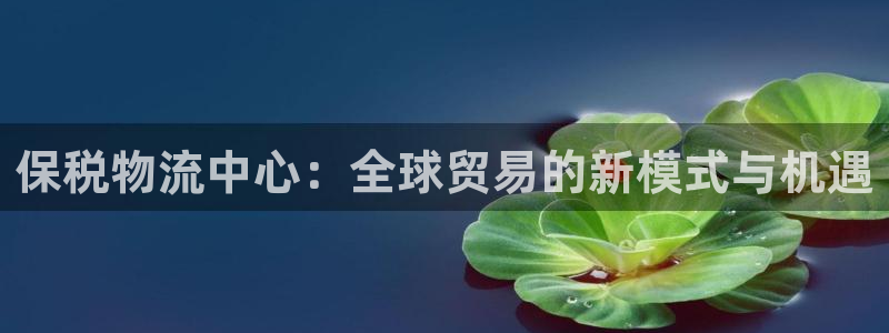 ,优游国际官网多少:保税物流中心:全