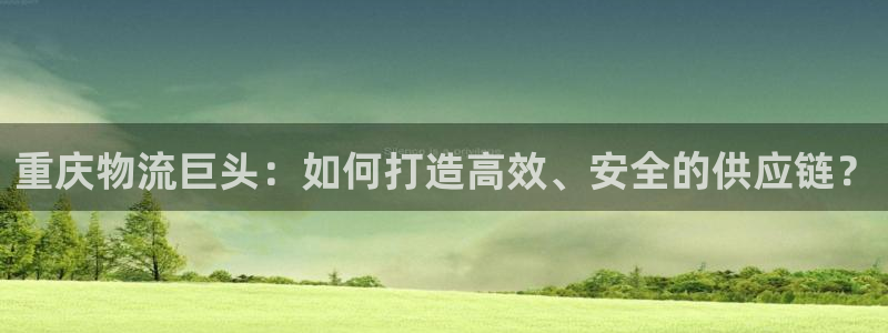 ,优游国际加拿大最新版:重庆物流巨头