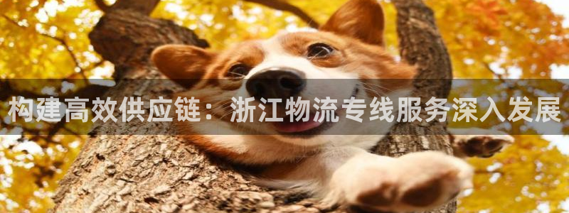 ,优游国际网站平台:构建高效供应链: