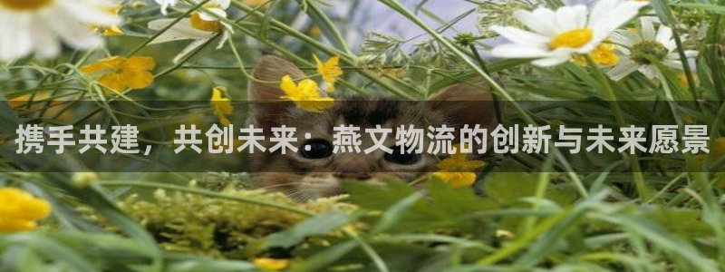 ,优游国际加拿大预测:携手共建,共创