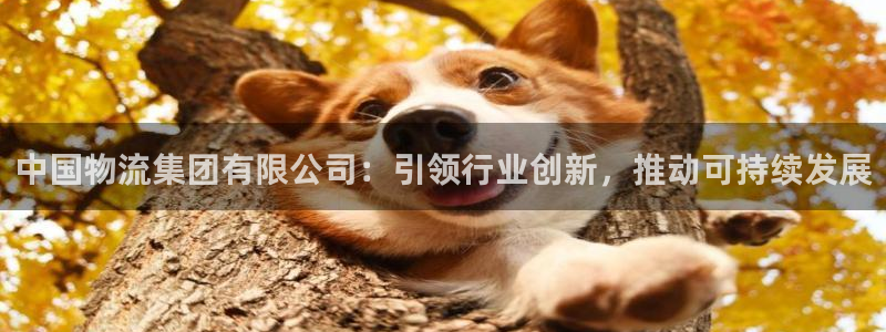 ,优游国际怎么申请代理