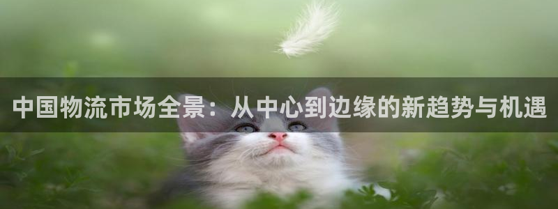 加拿大,优游国际是什么：中国物流市场