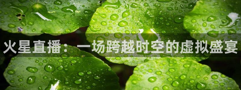 857直播体育app：火星直播：一场跨越时空的虚拟盛宴