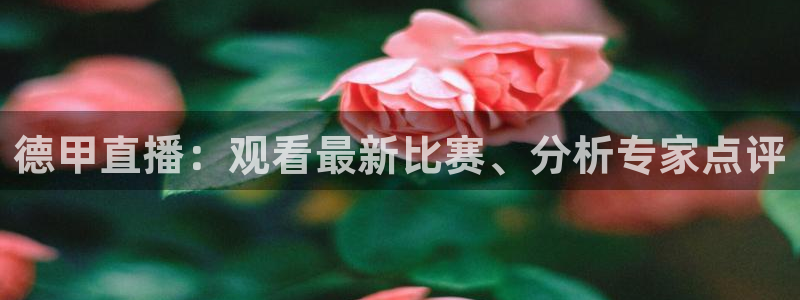 857体育在线直播观看：德甲直播：观看最新比赛、分析专家点评