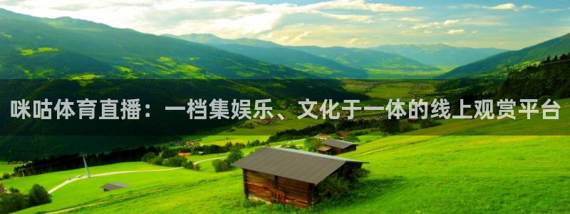 857体育在线直播观看：咪咕体育直播：一档集娱乐、文化于一体的线上观赏平台