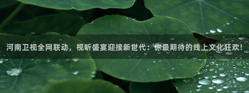 857体育nba免费直播在线直播：河南卫视全网联动，视听盛宴迎接新世代：你最期待的线上文化狂欢!