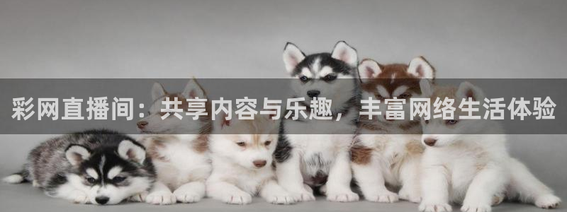 857体育直播免费在线观看：彩网直播间：共享内容与乐趣，丰富网络生活体验